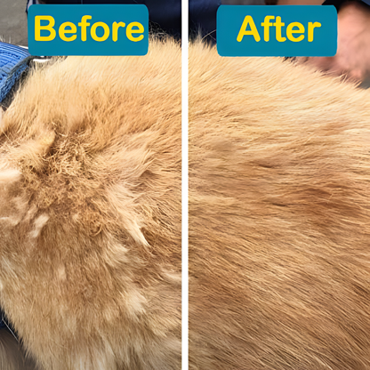 3-in-1 Steam Brush with Steamer - Suitable for Cats, Dogs and All Pets